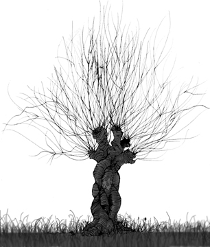 thetree.jpg